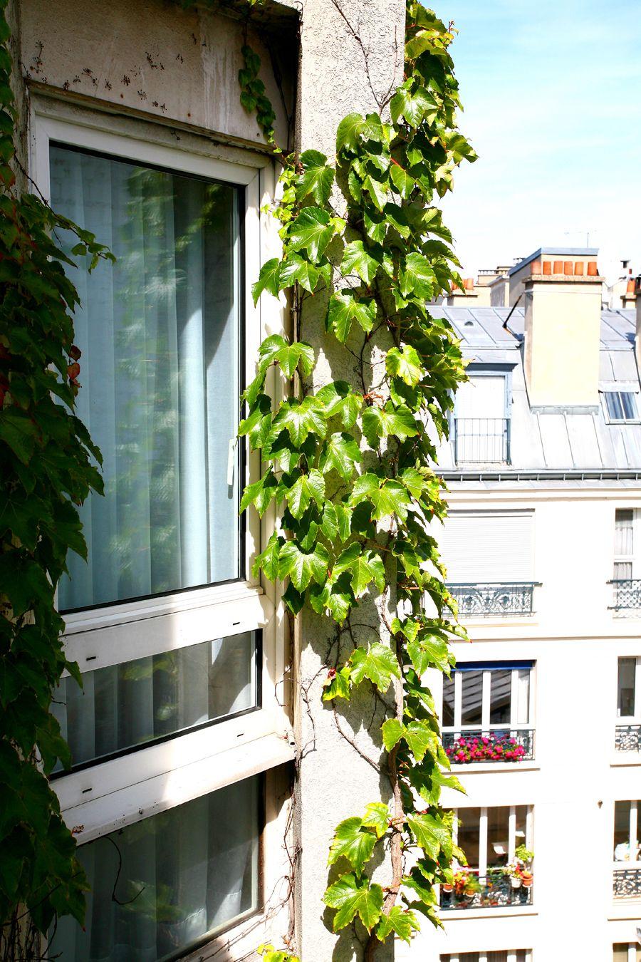 Fertel Etoile Hotel